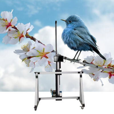 3D Wall Painting Portable UV Ink Jet Printer Automatic Indoor and Outdoor Background Wall Equipment